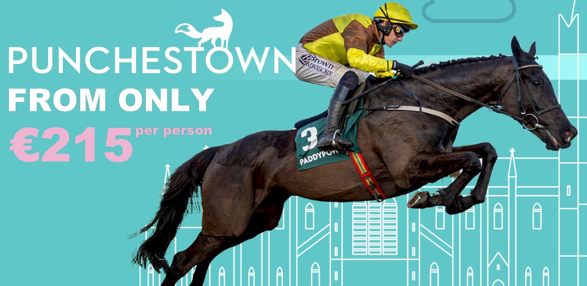 Punchestown Festival with Race and Stay