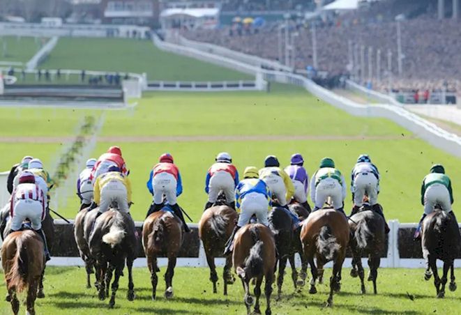 Race and Stay Official UK Horse Racing Guest Packages