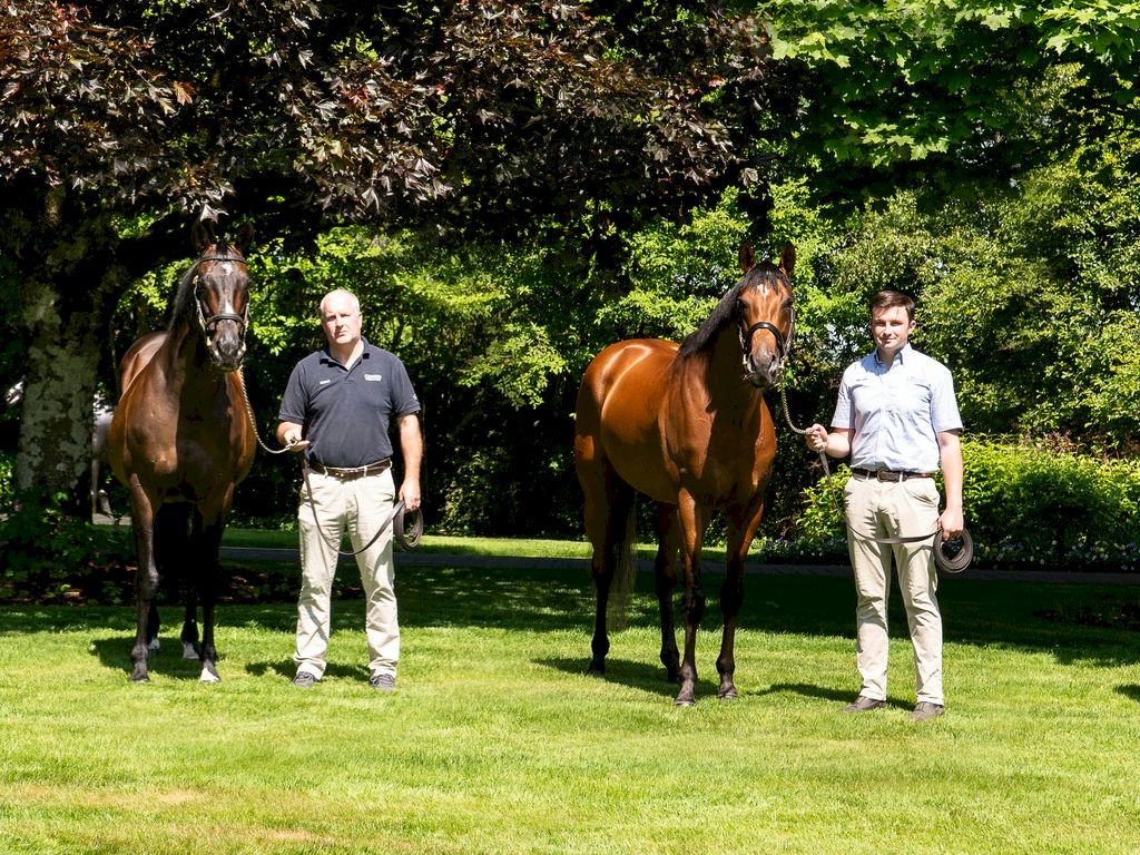 Irish Derby Festival - 6 Night Tour