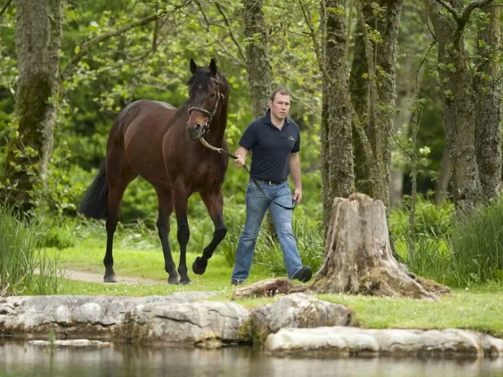 Irish Derby Festival - 6 Night Tour