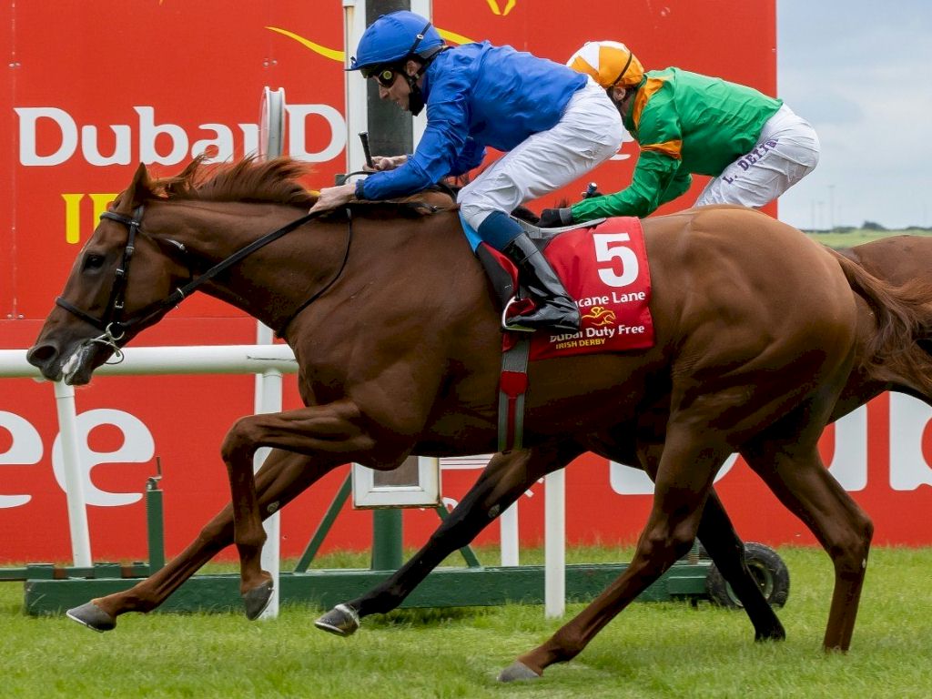 Irish Derby Festival - 6 Night Tour