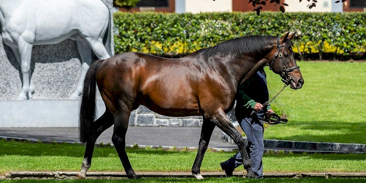 Irish Derby Festival with Race and Stay