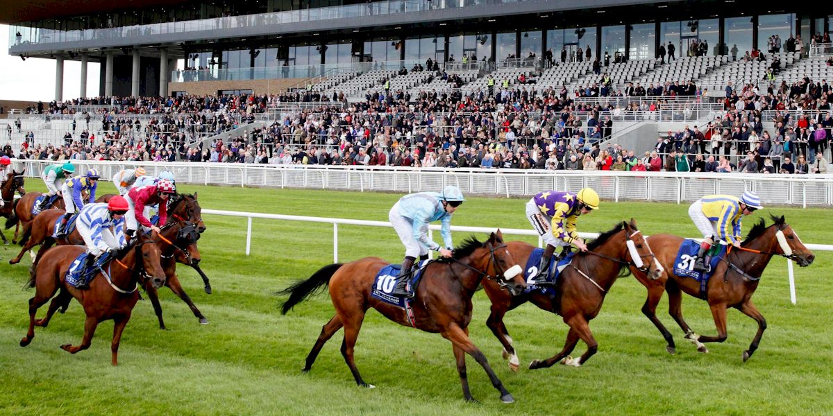 Irish Champions Festival with Race and Stay
