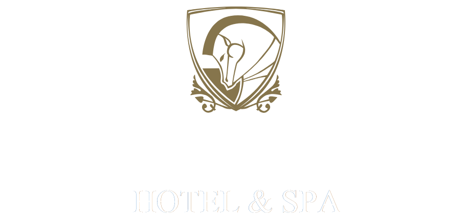 Navan Festival 2026 Official Guest Partner