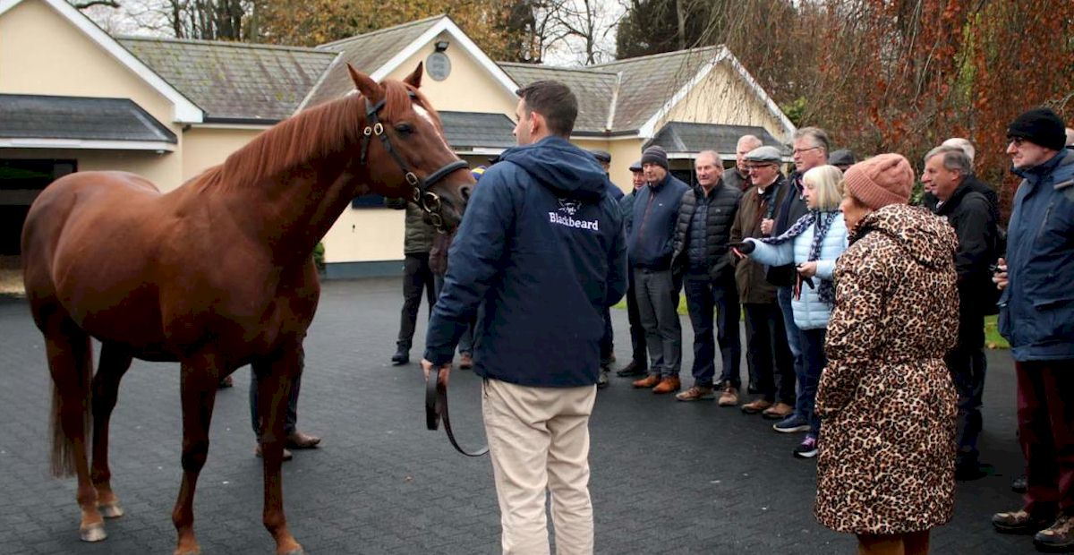 Irish Derby Festival with Race and Stay