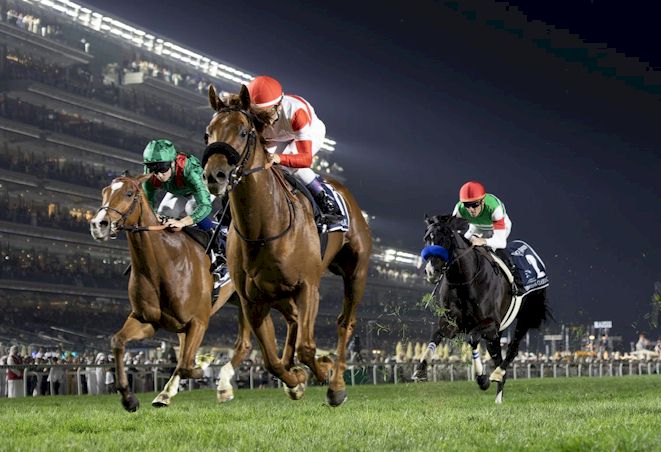 Race and Stay Official Worldwide Horse Racing Guest Packages