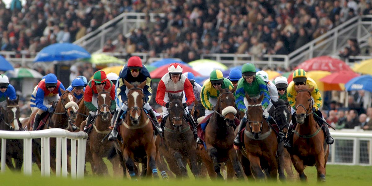 Irish Derby Festival with Race and Stay