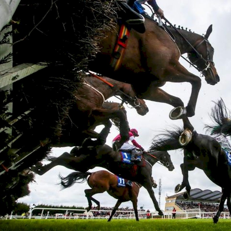 Fairyhouse Winter Festival