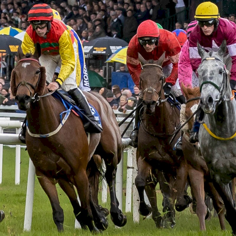 Fairyhouse Season Meetings