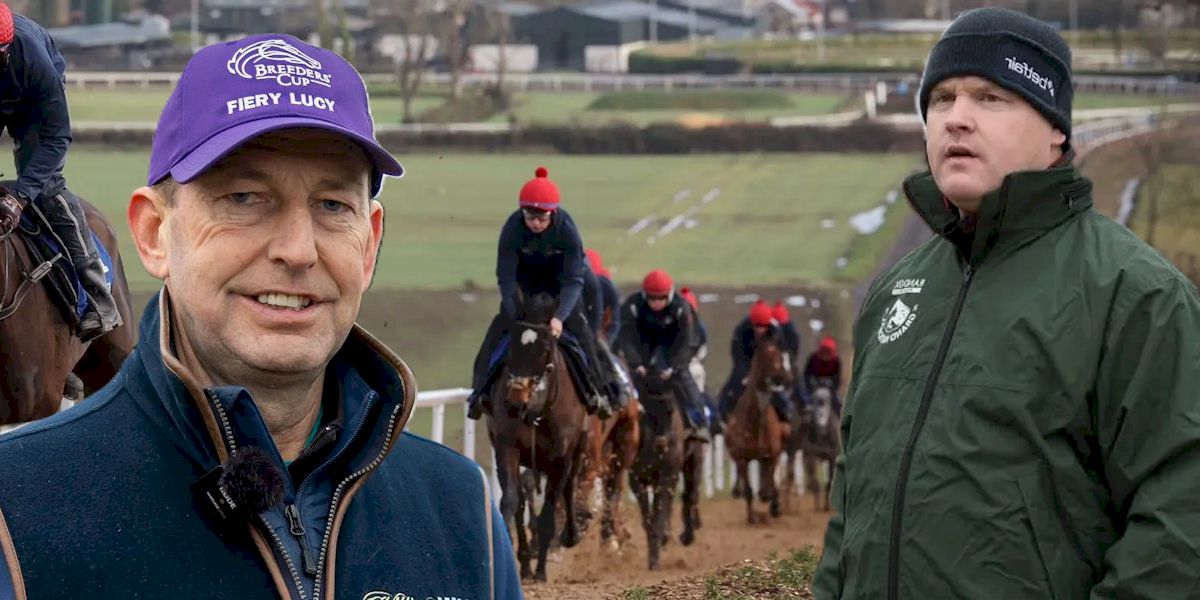 Dublin Racing Festival Tour Package with Race and Stay