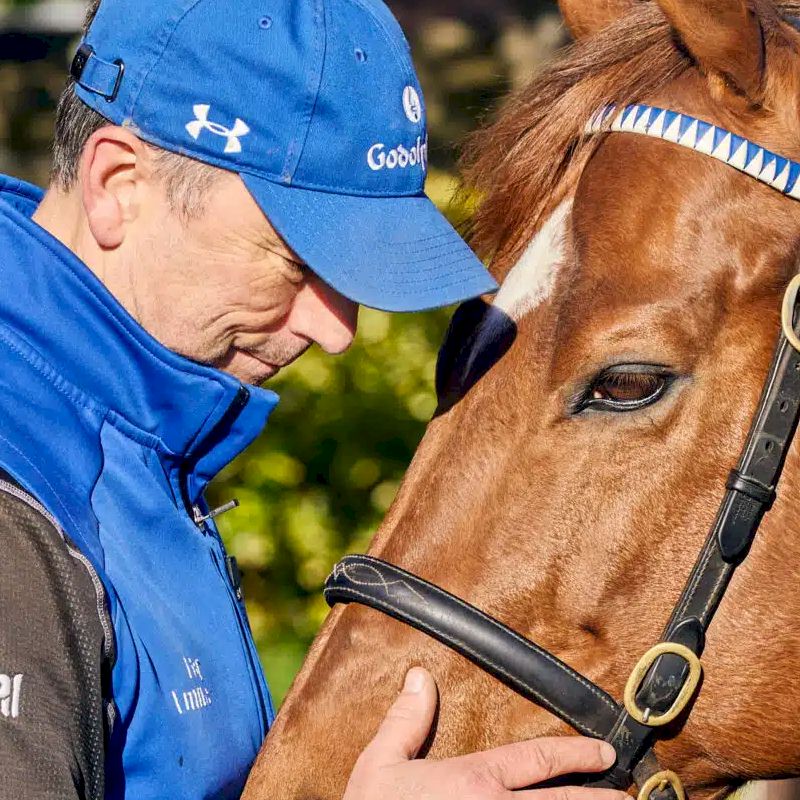 Irish Champions Festival - Kildangan Stud Tour