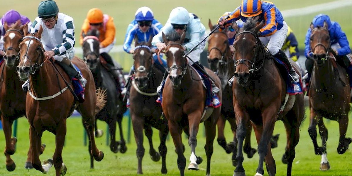 Irish Guineas Festival with Race and Stay