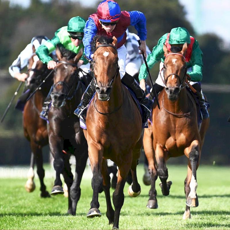 Irish Champions Festival - Curragh Races