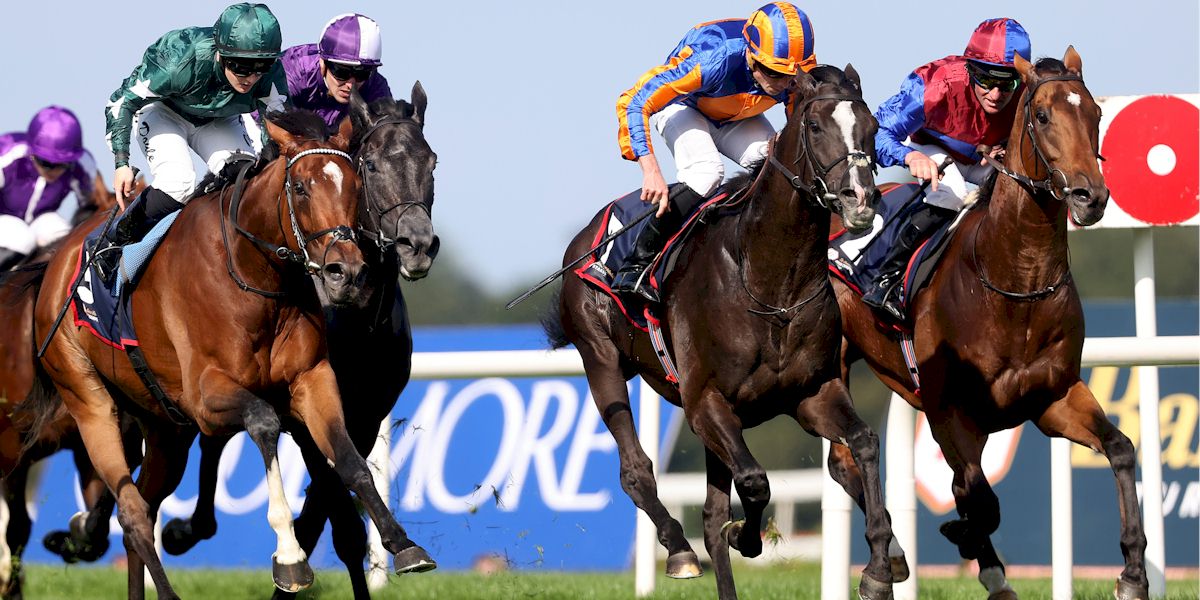 The Irish Champions Festival with Race and Stay