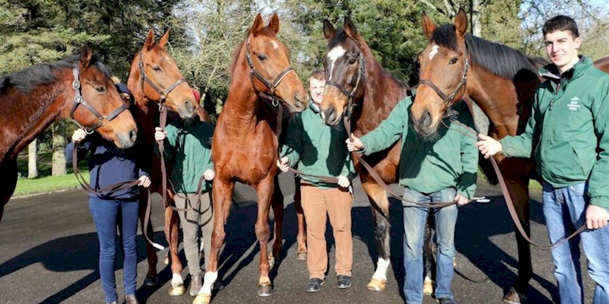 Irish Derby Festival with Race and Stay