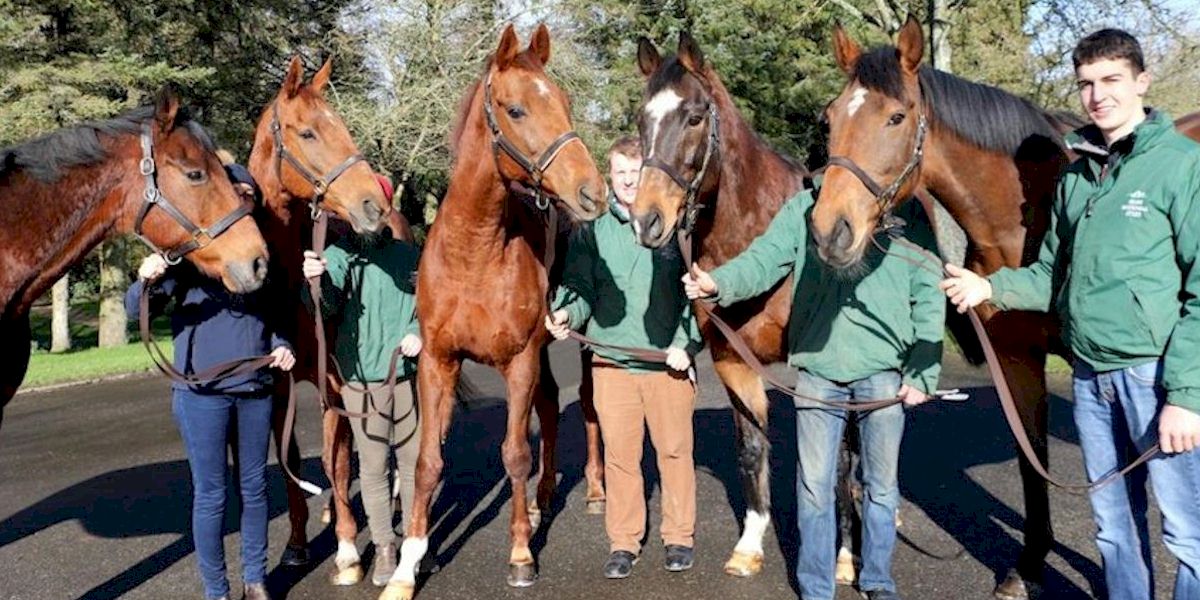 Irish Derby Festival with Race and Stay