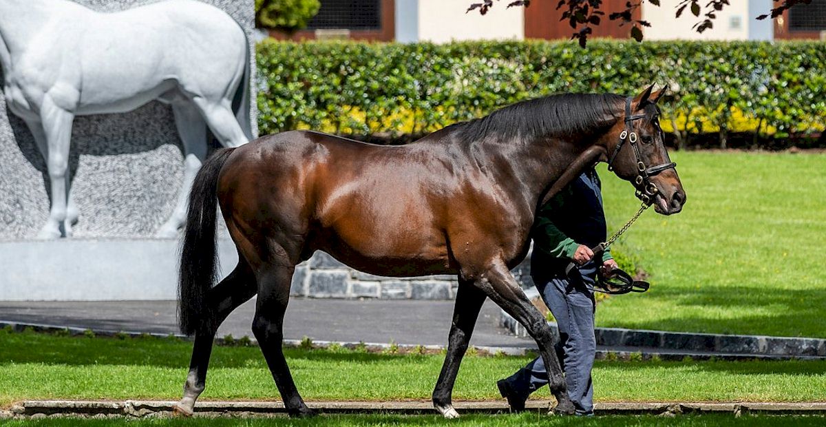 Irish Champions Festival with Race and Stay