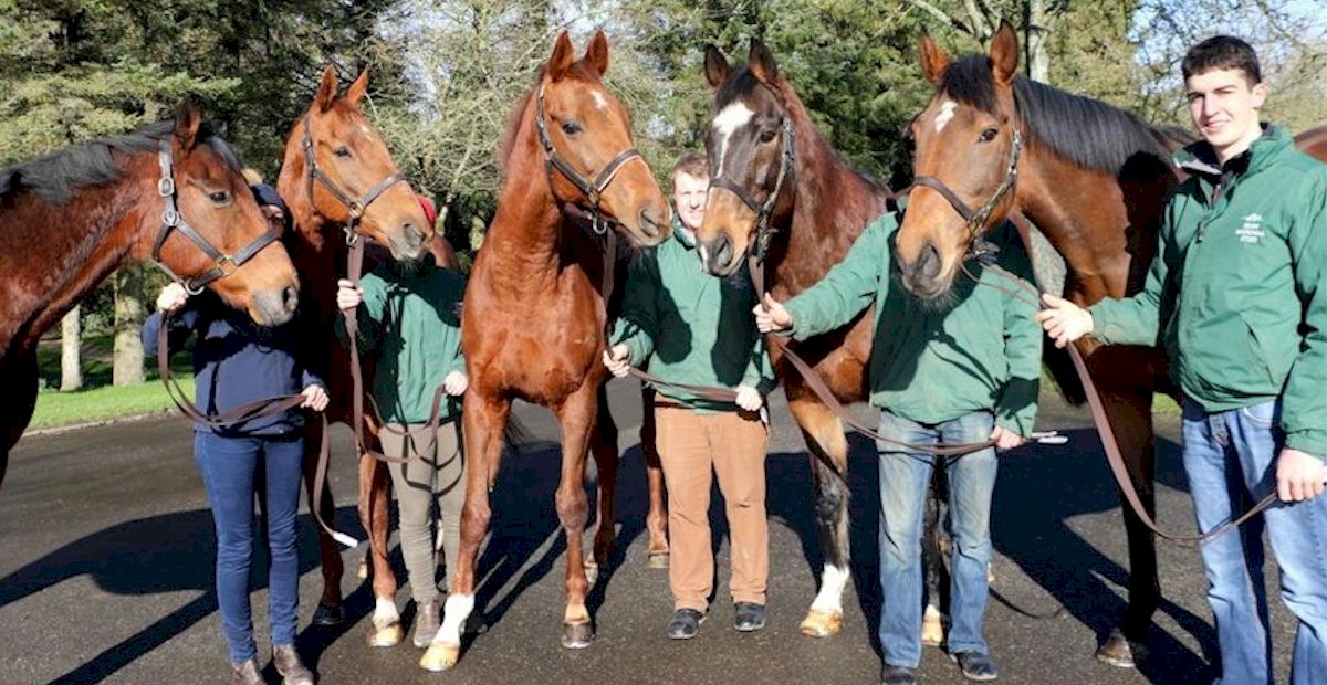 Punchestown Festival with Race and Stay