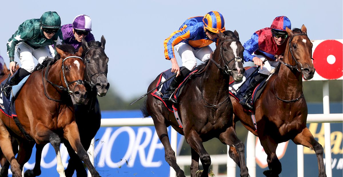 Irish Champions Festival with Race and Stay