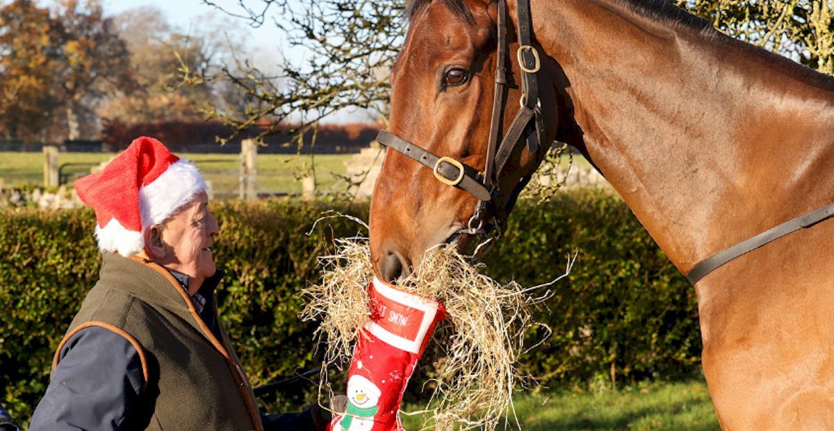 Leopardstown Christmas Festival with Race and Stay