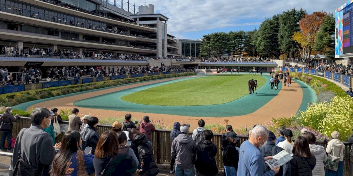 The Japan Cup with Race and Stay