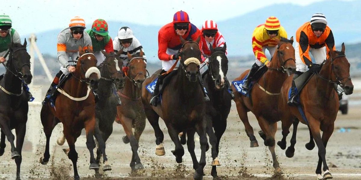 Laytown Festival with Race and Stay