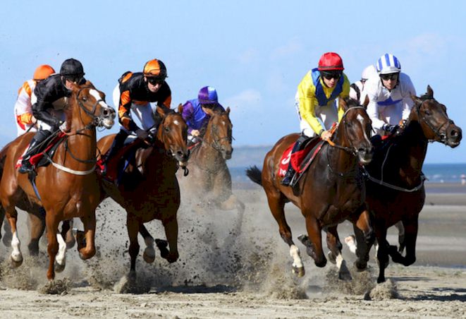 Race and Stay Official Irish Horse Racing Guest Packages