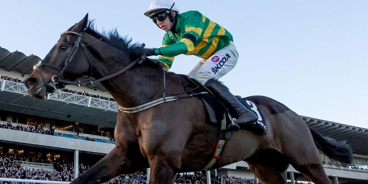 Leopardstown Christmas Festival with Race and Stay