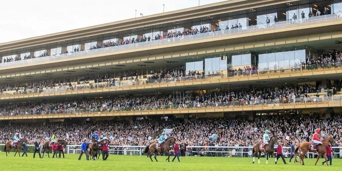 The Prix d'larc with Race and Stay