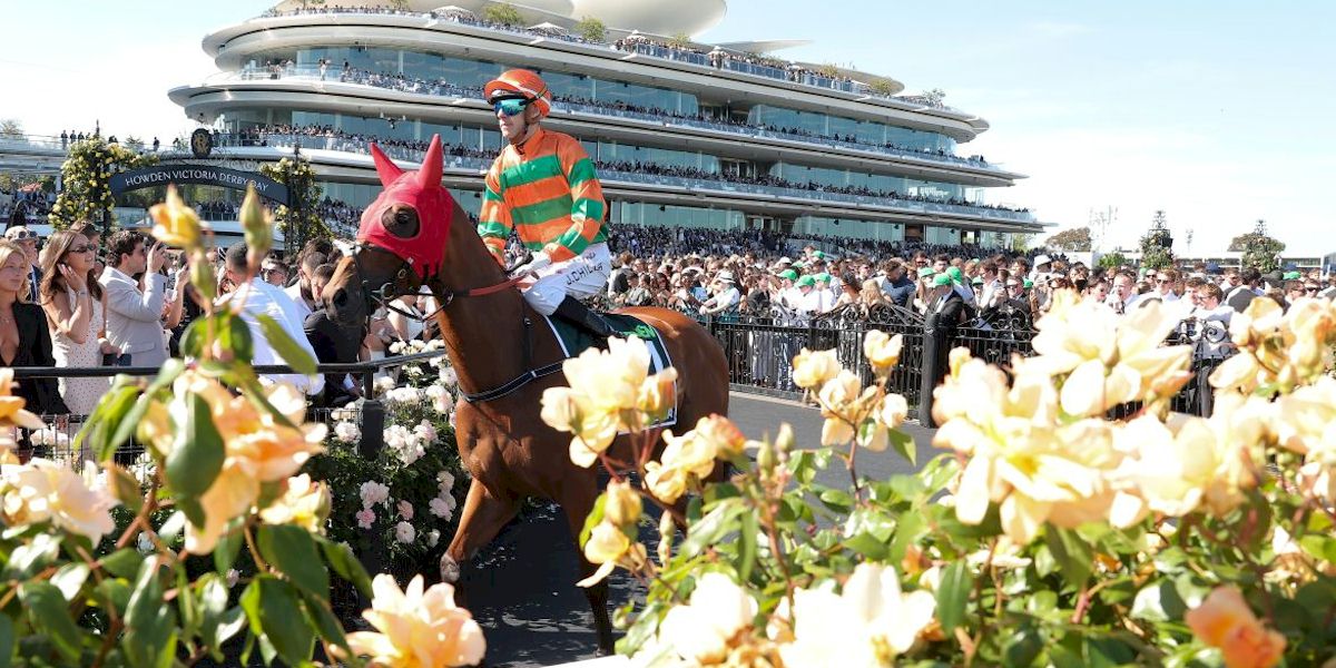 The Melbourne Cup with Race and Stay