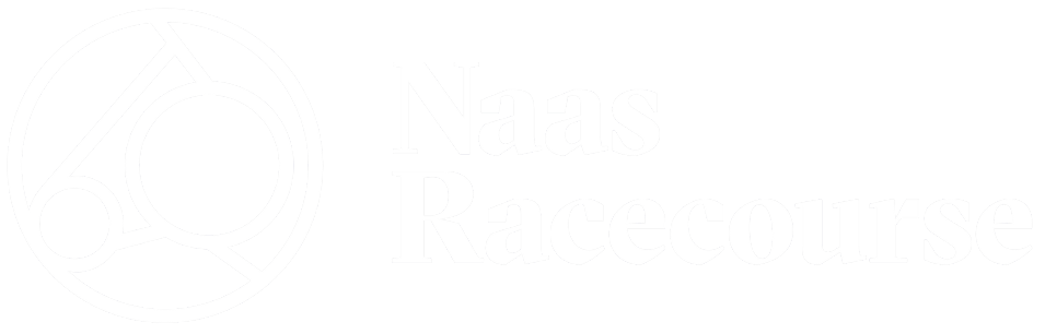 Dublin Racing Festival 2026 Official Guest Partner
