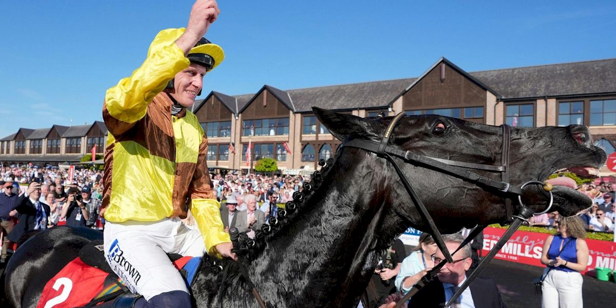 Gowran park and Punchestown Races  with Race and Stay