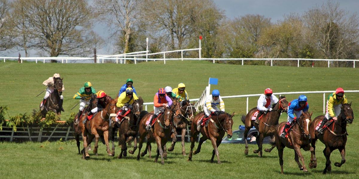 Gowran park and Punchestown Races  with Race and Stay