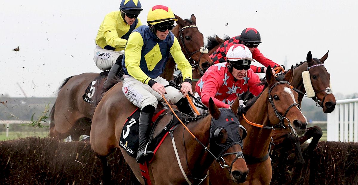 Punchestown Festival with Race and Stay