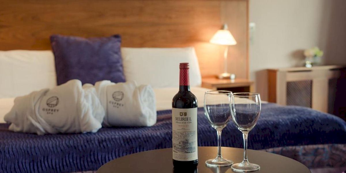 Punchestown Festival with Race and Stay