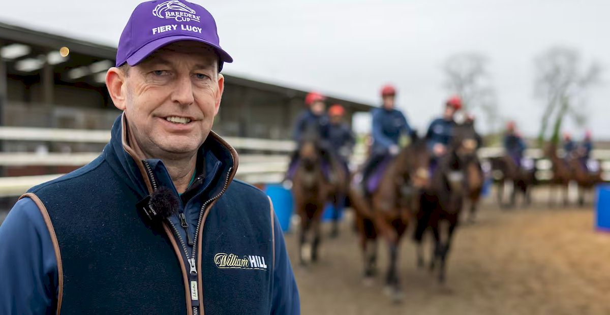 Punchestown Festival with Race and Stay