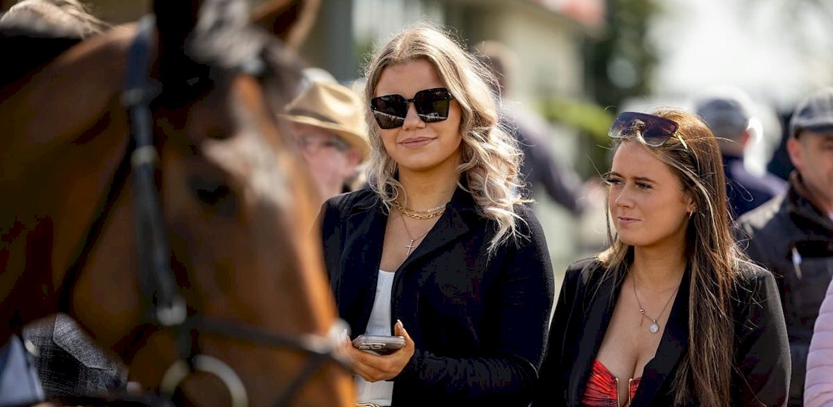 Punchestown Festival with Race and Stay