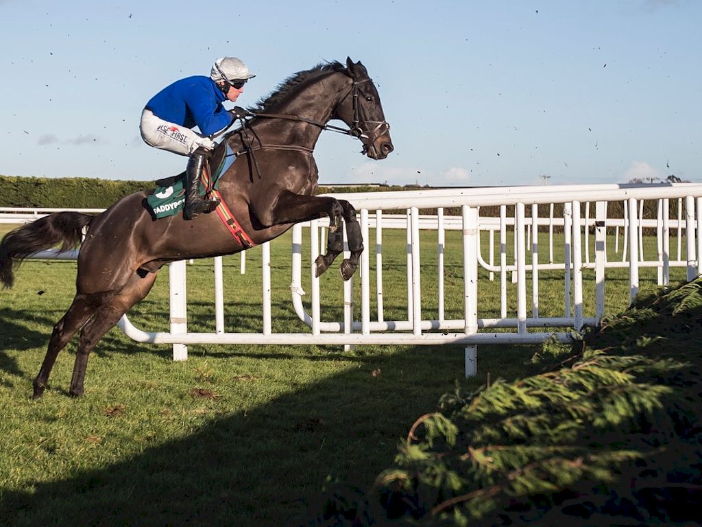Punchestown Festival-A Giant Leap
