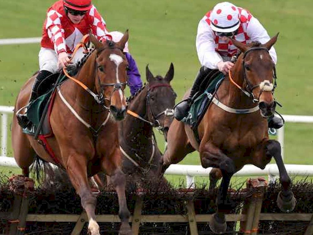 Punchestown Festival-Hurdle Race
