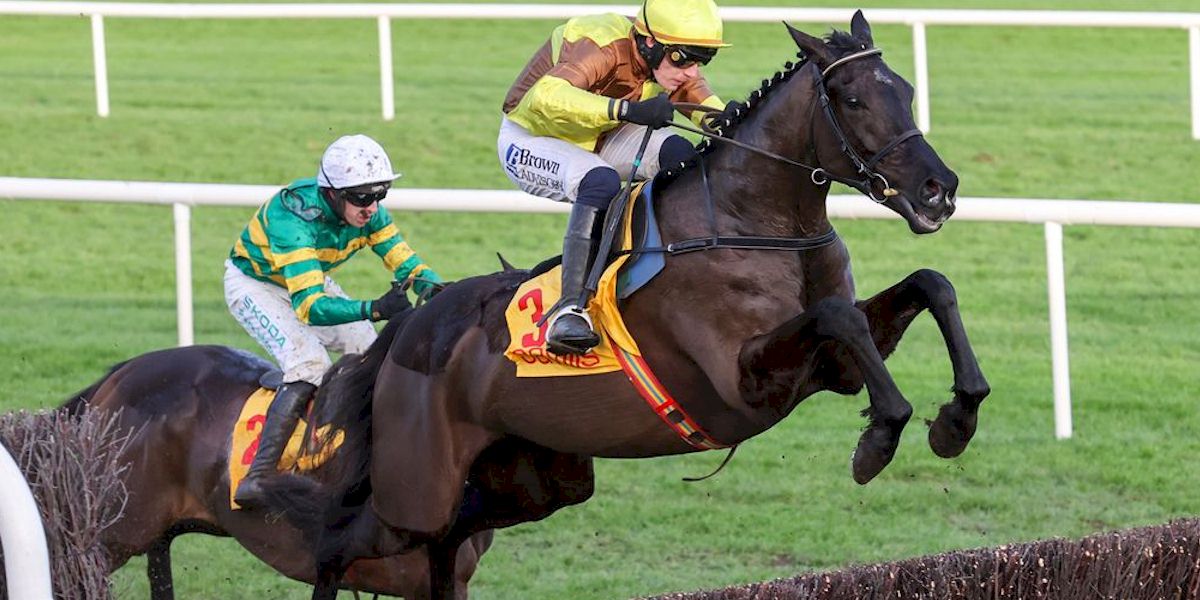 Gowran & Punchestown Races with Race and Stay