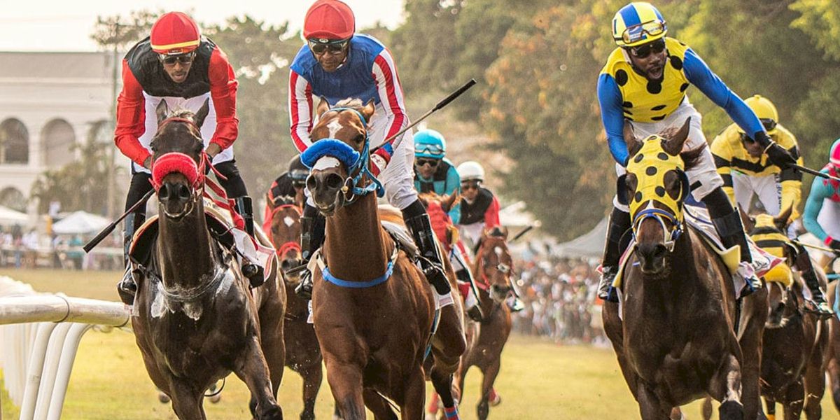 The Sandy Lane Gold Cup with Race and Stay