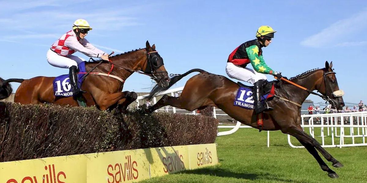 Punchestown Premiere Weekend with Race and Stay
