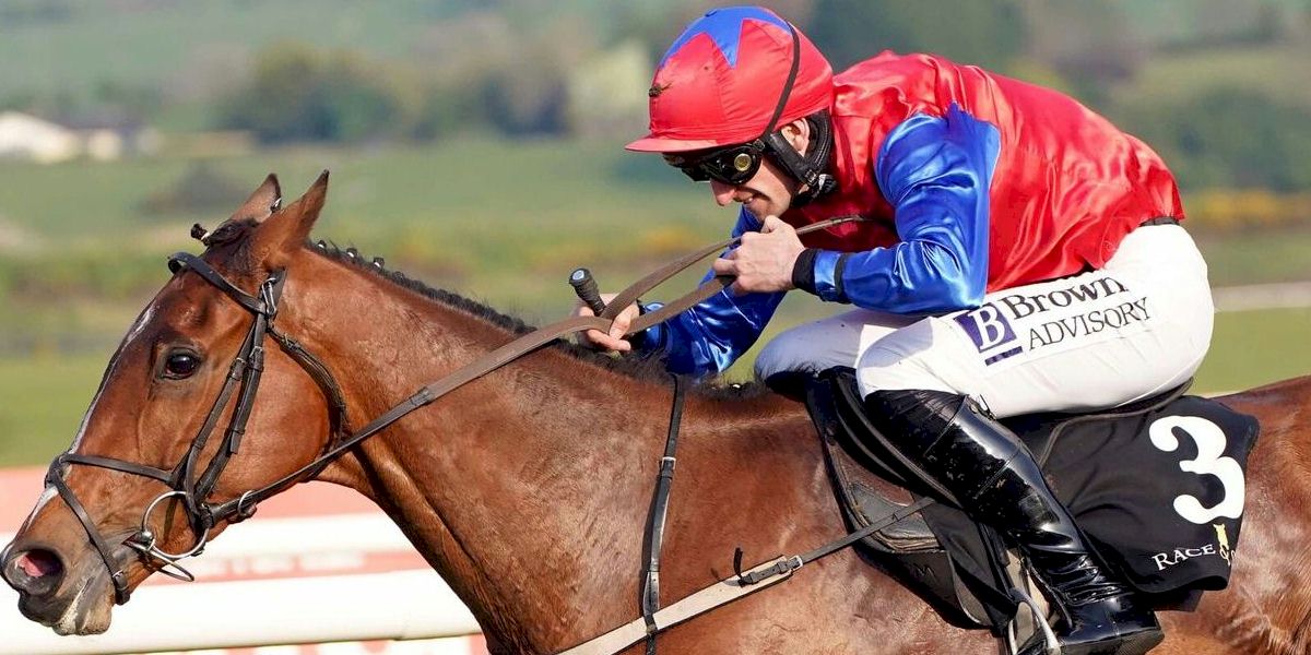 Punchestown Festival with Race and Stay