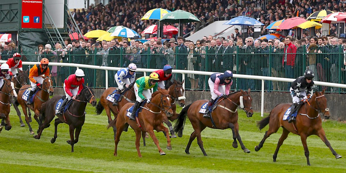 Punchestown Festival with Race and Stay